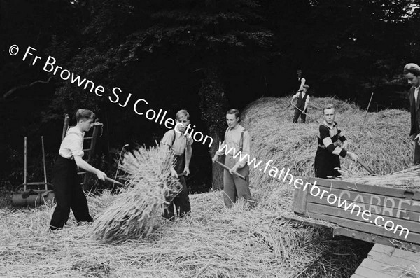 THRESHING AT ST MARYS